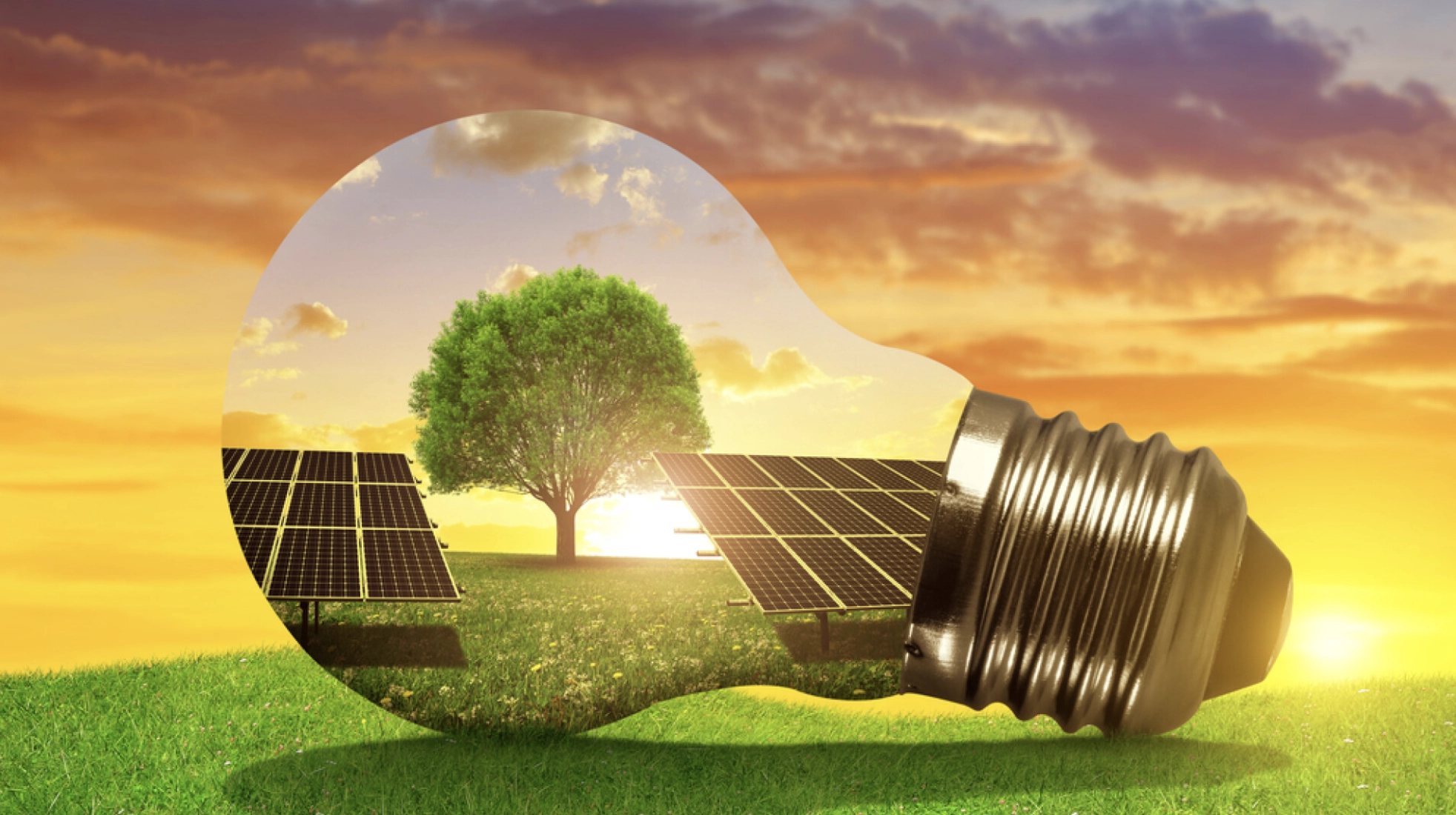 Energocom a procurat, în premieră, electricitate de la un producător local care utilizează baterii de stocare